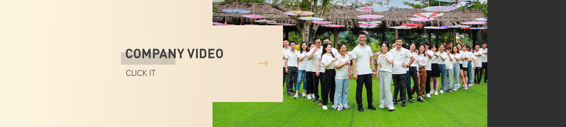 Goldtop Stone Company Video