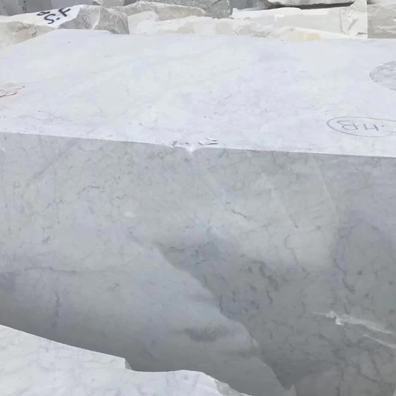 Mármol blanco con losas de encimeras de venas grises