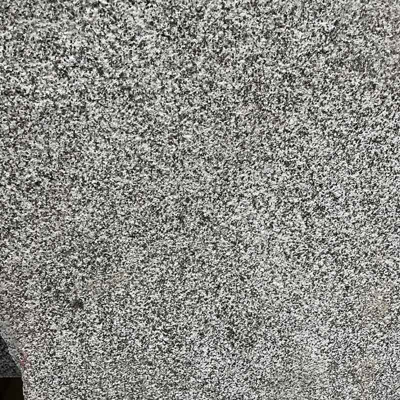 Losa de encimeras de granito negro sésamo