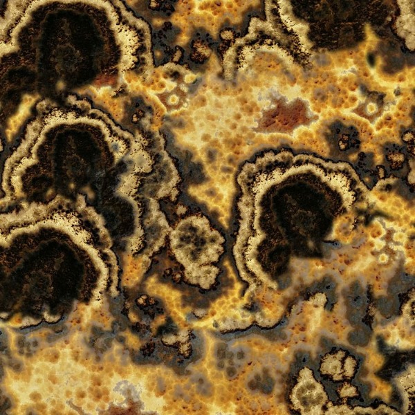 Ónix negro